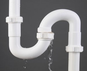 Essential Plumbing Services in Potomac