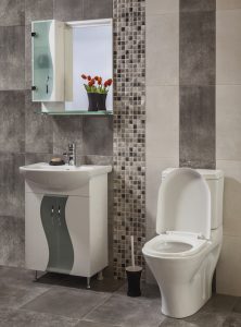 Essential Plumbing Services in Cleveland Park, DC