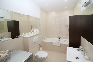 Essential Plumbing Services in Friendship Heights, DC