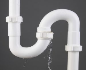 Should You Invest in a Leak Defense System?