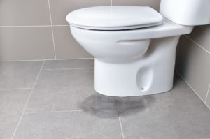 master plumbing flush your toilet