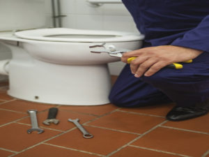 Master Plumbing Toilet